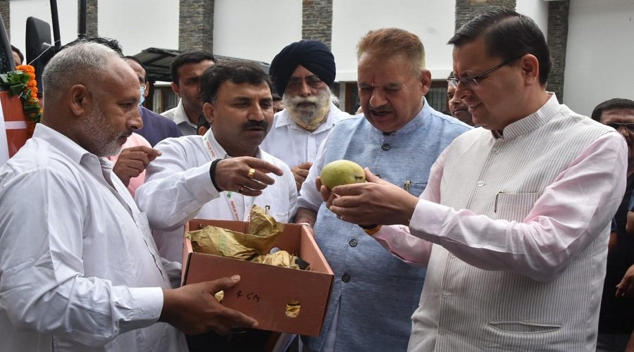 cm-dhami-mango-of-uttarakhand.jpg
