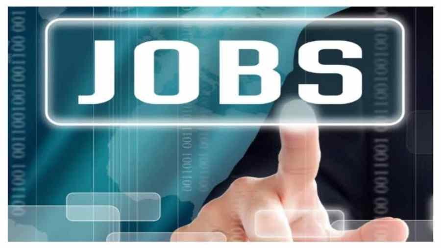 Nainital-Bank-Recruitment-2022-7NFLZy.jpeg