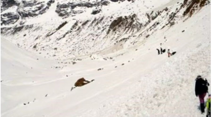 bengol-trekar.jpg