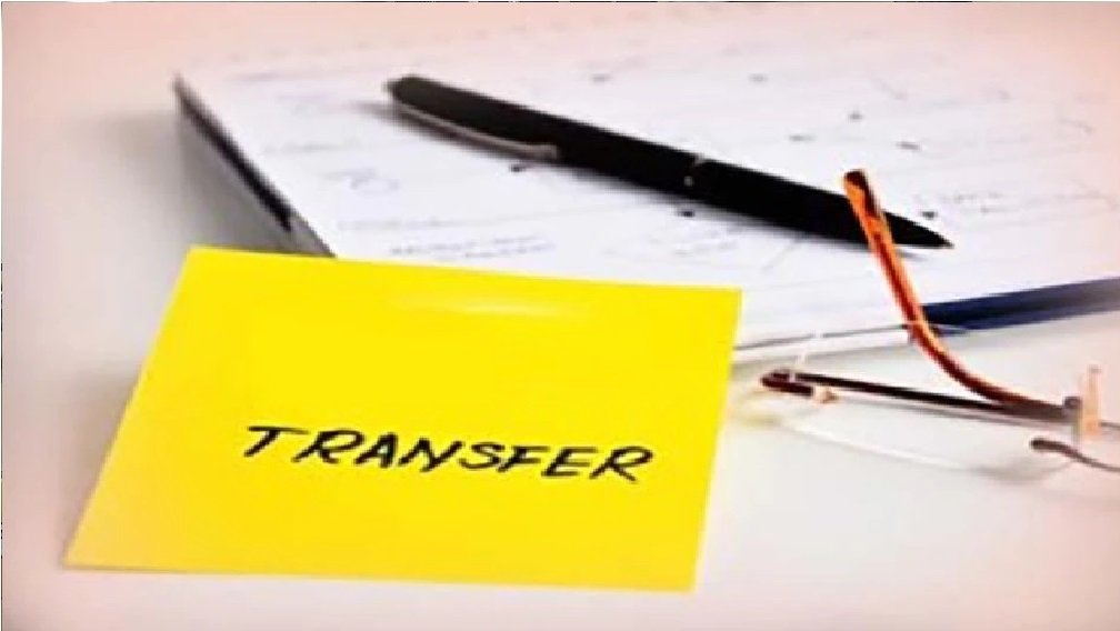 transfer-1.jpg