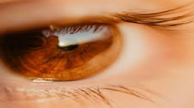 eye.jpg
