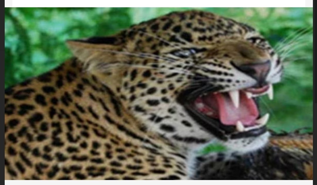 Screenshot_20221108-043659_Chrome.jpg
