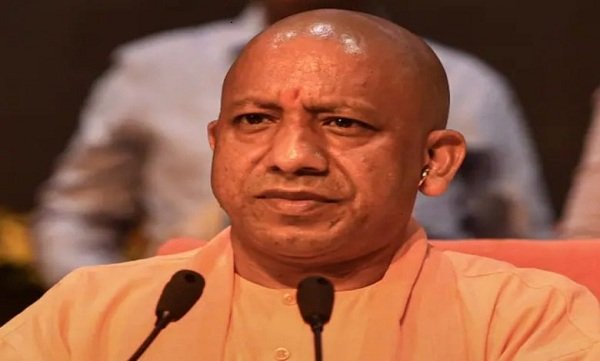 yogi-2-780x470-1.jpg