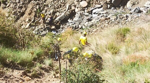 IMG-20230408-WA0003-e1680935059628.jpg