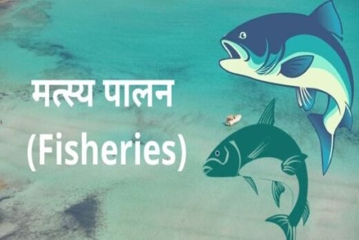 ishries-e1679408481605.jpg