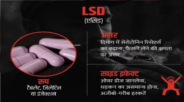LSD-dugs-e1686080190847.jpg