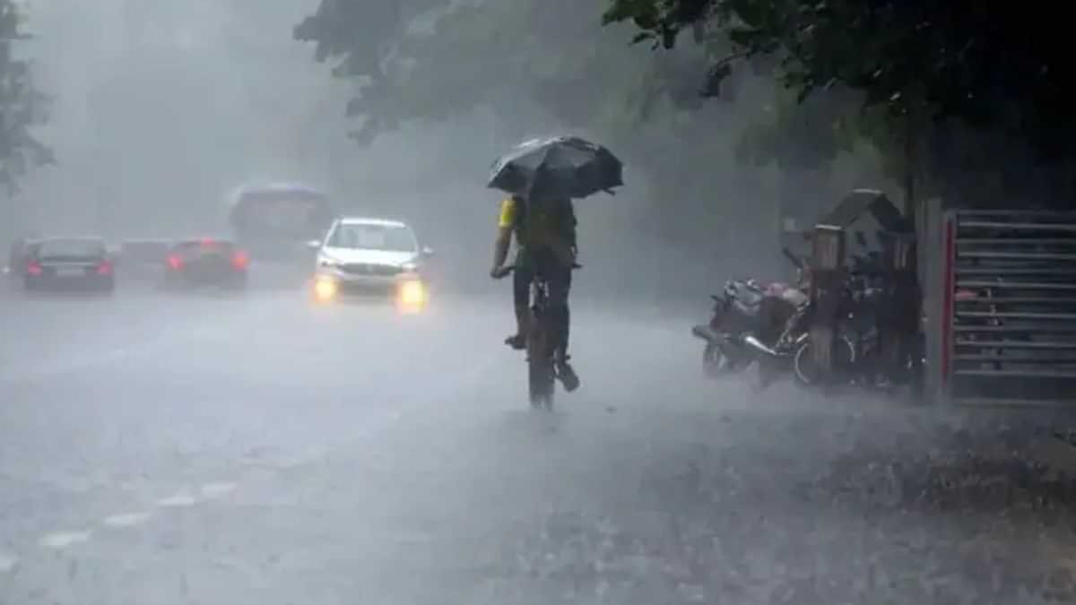 rain11.jpg