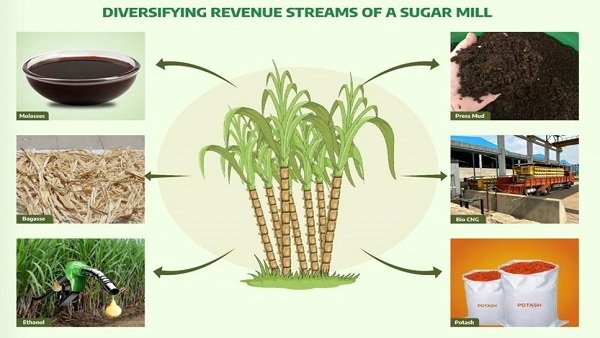 suger.jpg