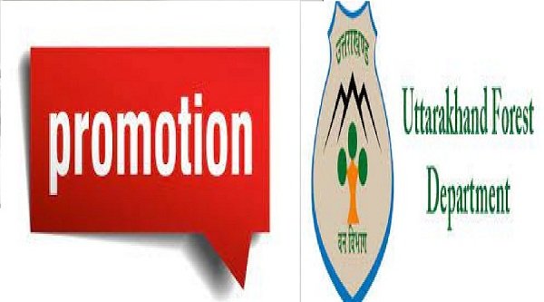 forest-department-promotion.jpg