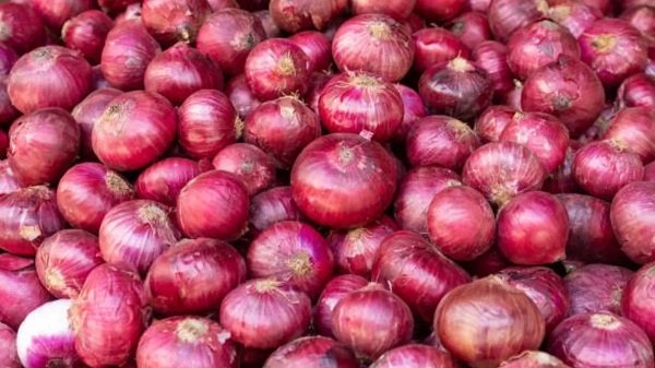 onion-pyaj.jpg